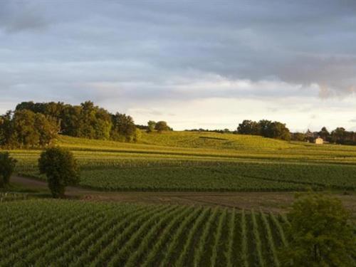 Chateau La Rose Perriere Lussac  Luaran gambar