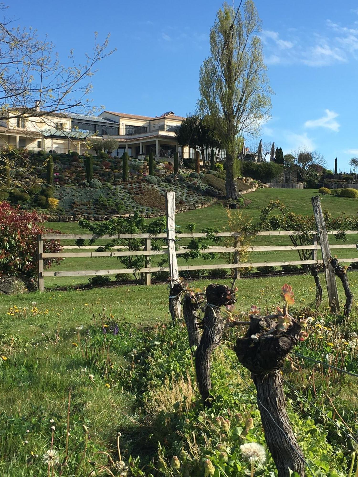 Chateau La Rose Perriere Lussac  Luaran gambar